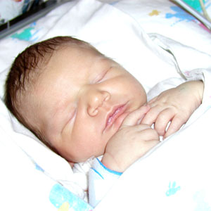 12/28/2003 02:41 PM